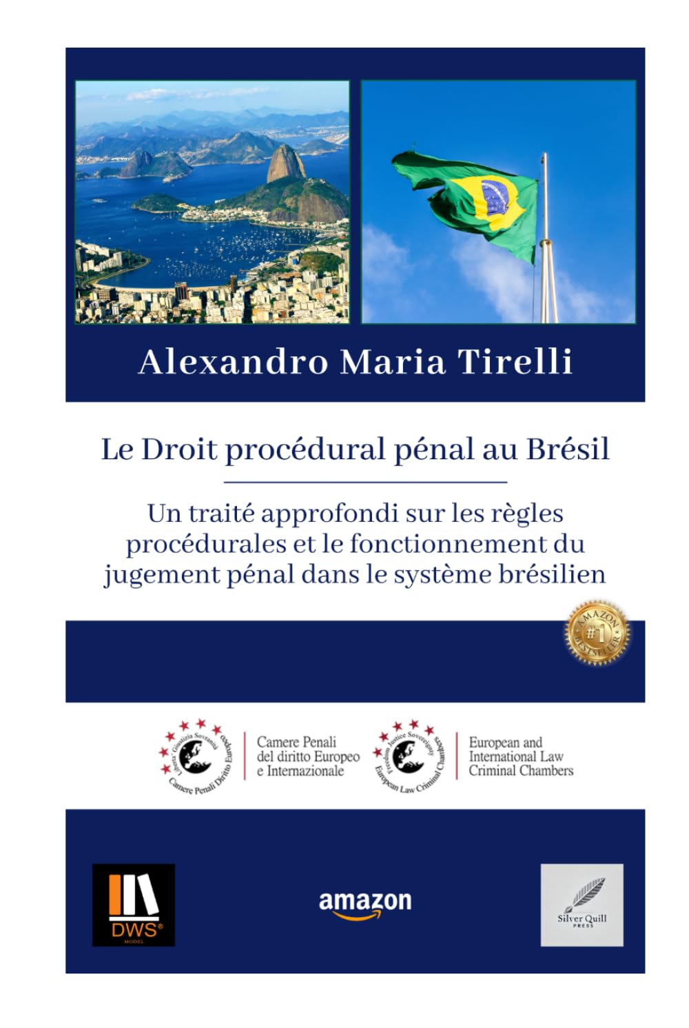 Le Droit procédural pénal au Brésil: Un traité approfondi sur les règles procédurales et le fonctionnement du jugement pénal dans le système brésilien