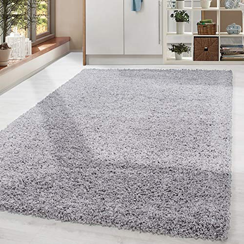 HomebyHome Alfombra Salon Peludo de Pelo Largo Gris Claro 80x150 cm - Alfombras de Habitacion Sala de Estar Modernas Suave y...