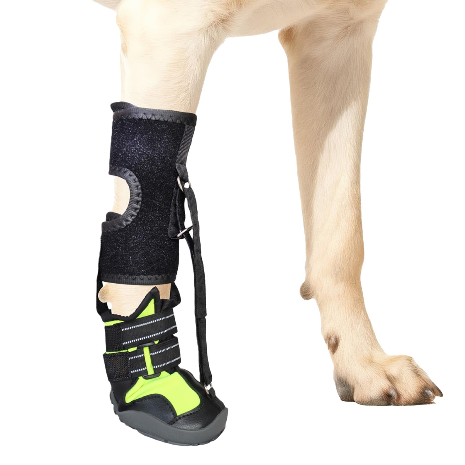 yanwuwa Corrective Dog Shoes Drops Foot Brace with Reel for Dogs with Feet Issue,Improving Walking Gait Not Knuckling Boot Brace None Knuckling Boot Brace for Dog Dragging Paws