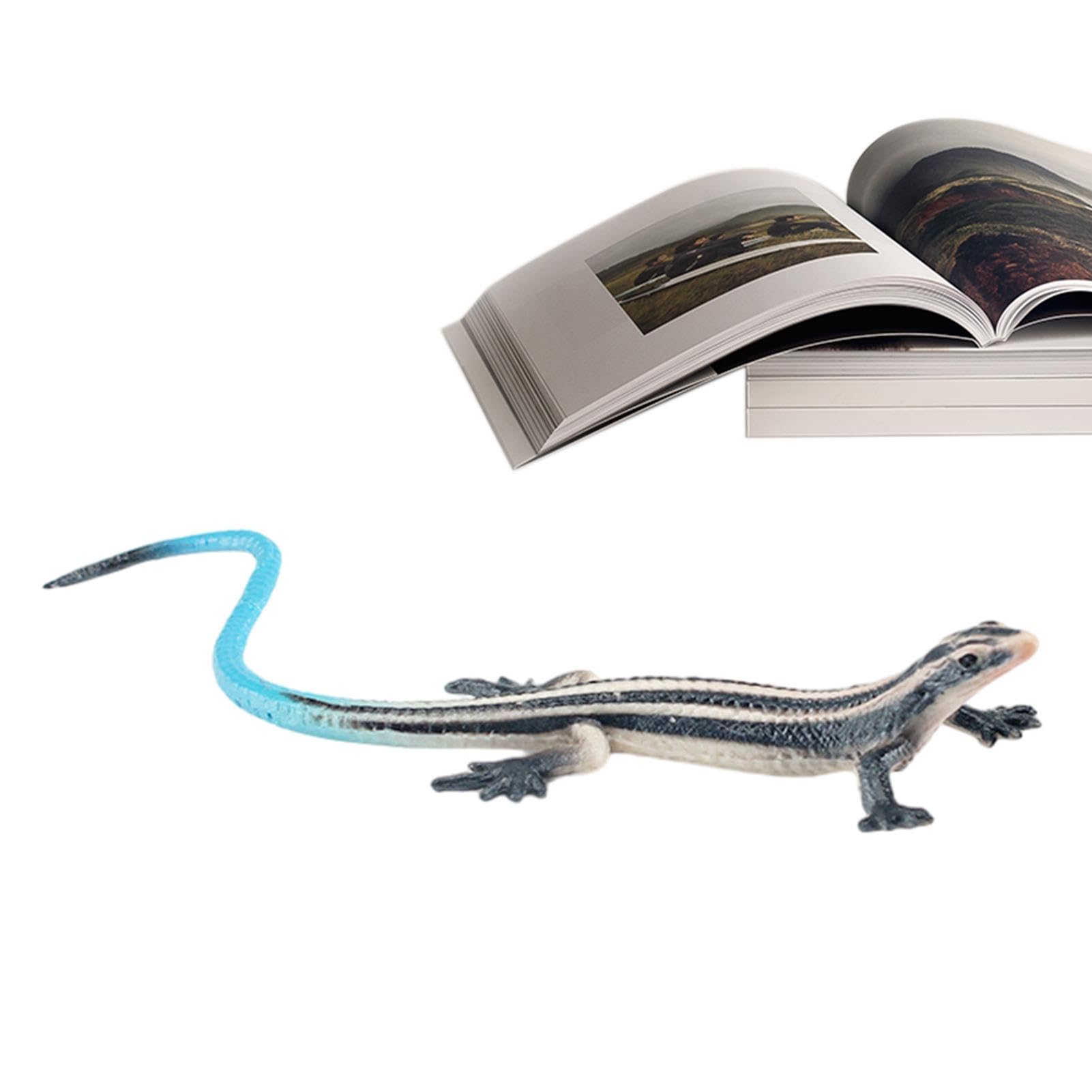 Amazon.co.jp: 人工トカゲモデル - 写真人工モデル爬虫類トカゲ動物