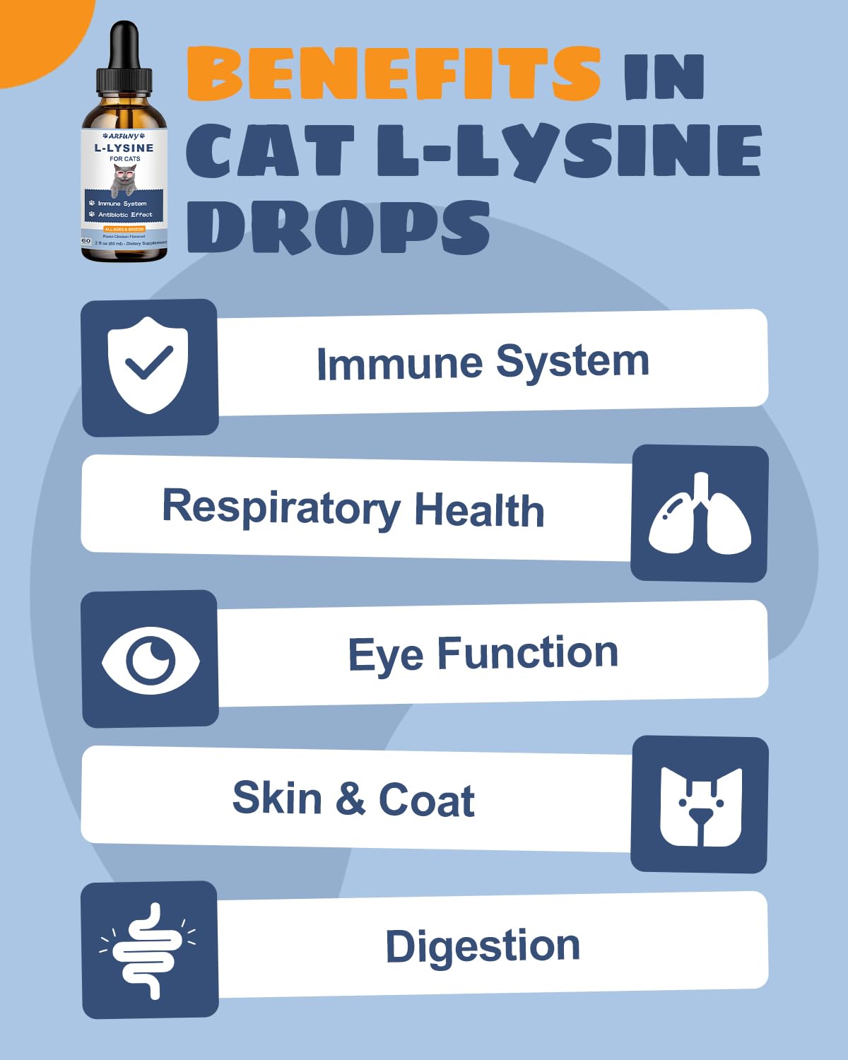 SANTKOL L-Lysine for Cats, Cat Immune Support, Lysine for Cats, 60ML Drops for Respiratory Sneezing, Runny Nose, Eye Function - Image 2