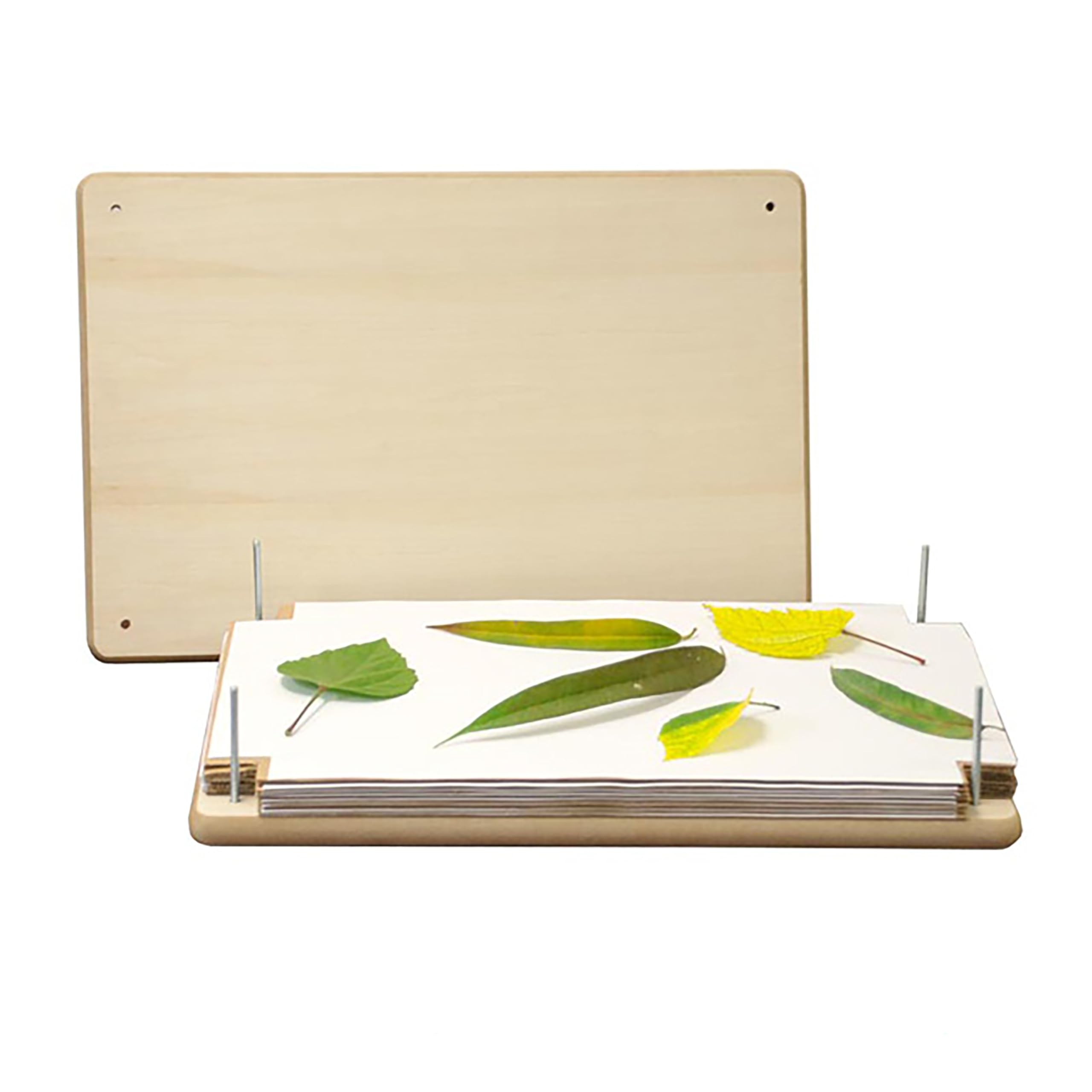 BestNest Nature Press, 12" x 18"