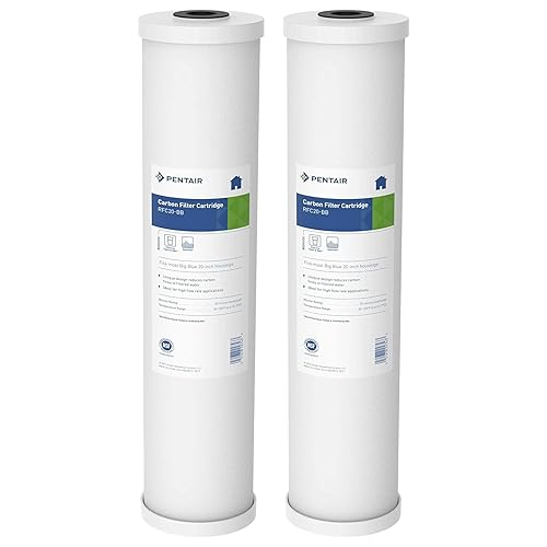 Miniatura 1 de Pentair Pentek RFC-20BB - Filtro de agua de carbono azul grande, 20 pulgadas, cartucho de repuesto de carbono de flujo radial resistente para toda
