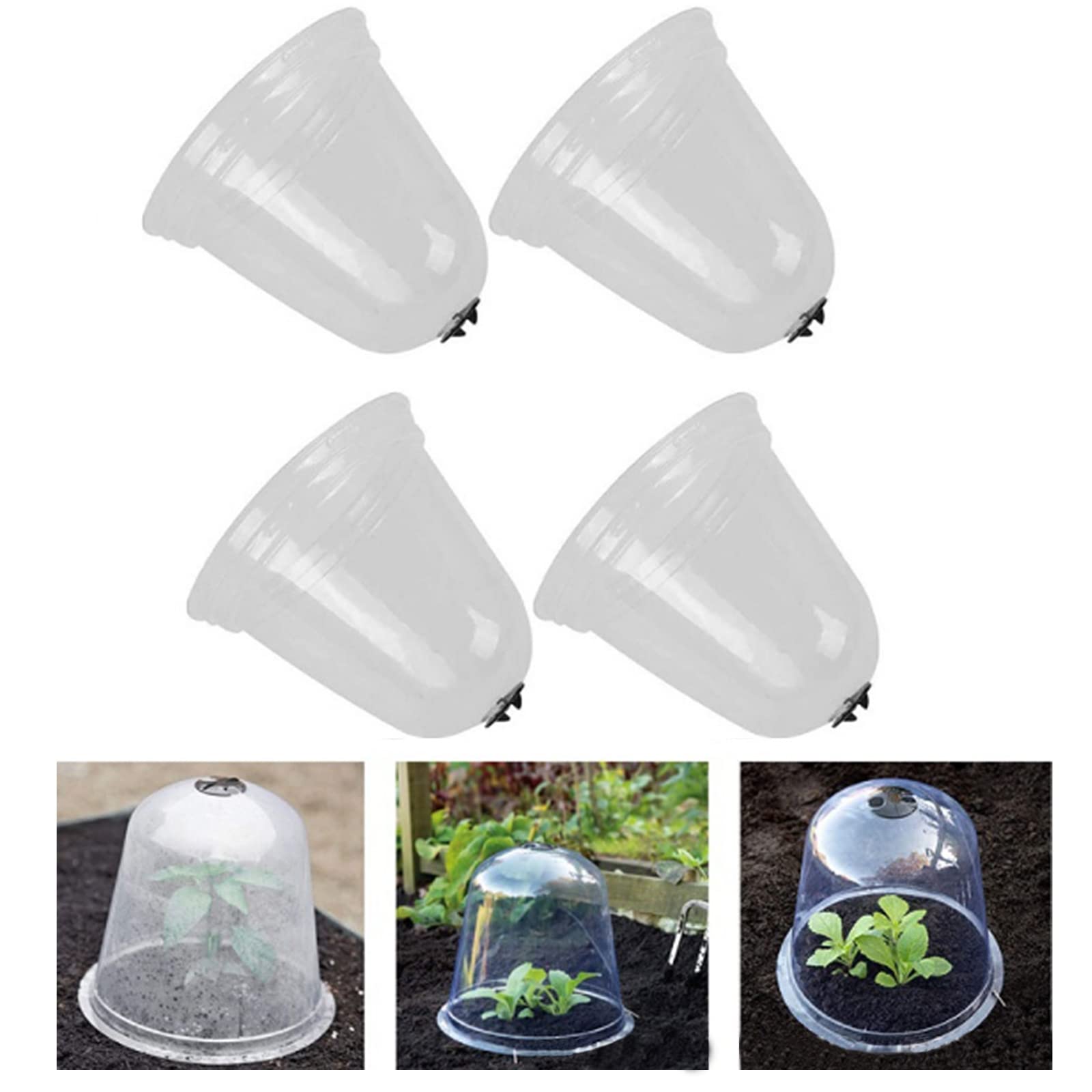 Lot de 6 cloches de protection pour mini serre de jardin avec piquets en métal et étiquettes pour plantes