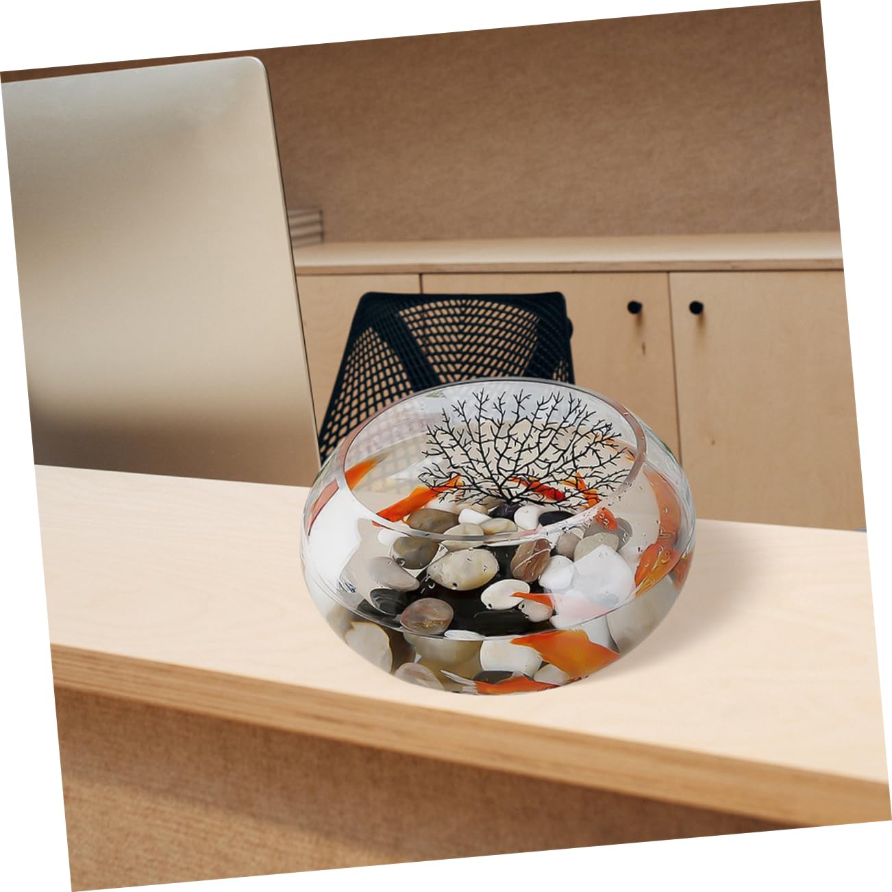 HANABASS 3piezas Transparente para Acuarios Decoración De Oficina y Terrarios Diseño Compacto para Plantas y Peces