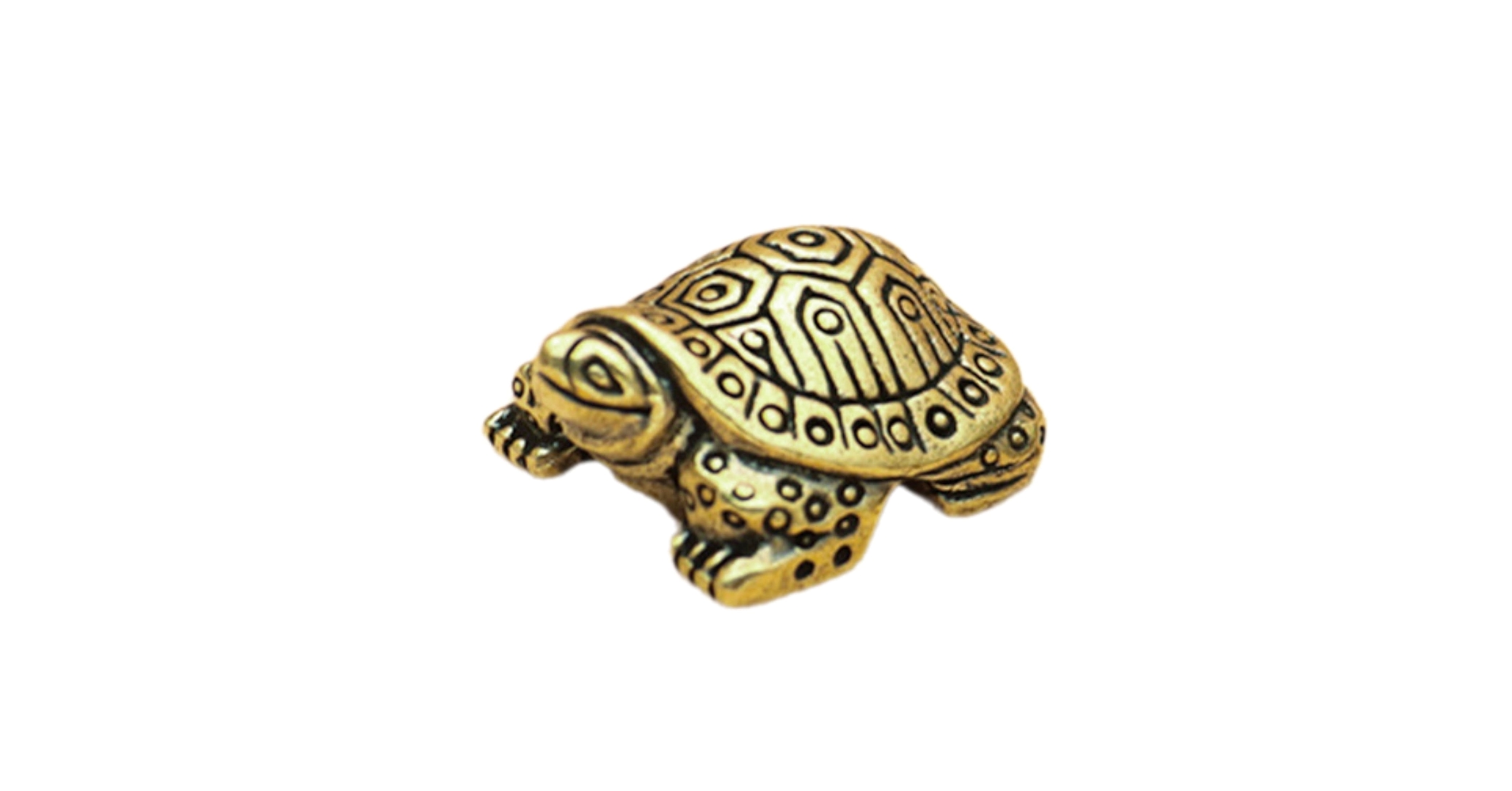 Amazon.co.jp: ZHIZHUO 亀の置物 カメ かわいい 置物 金の亀