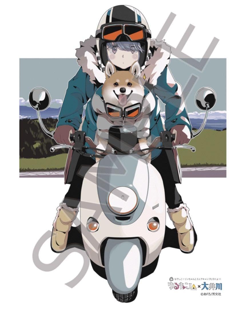 Amazon.co.jp: ゆるキャン△大井川鐵道限定 志摩リン b2ポスター