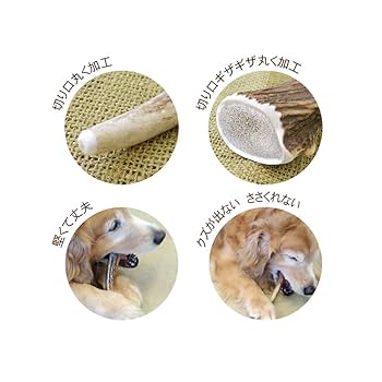 犬出品 Amazon | ペッツルート (Petz Route) ベニソンアントラー S