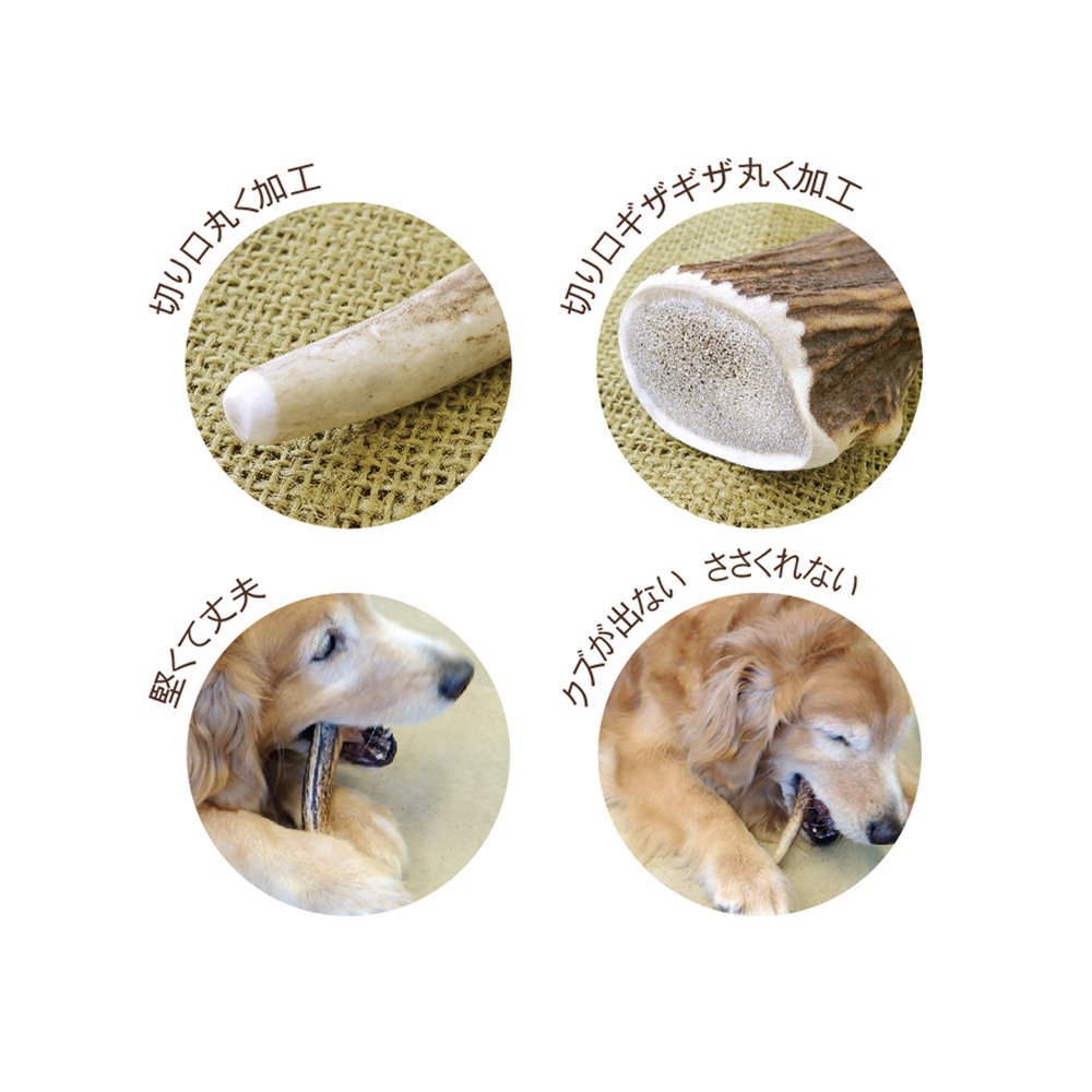 Amazon.co.jp: Petz Route Venison Antler S : Pet Supplies