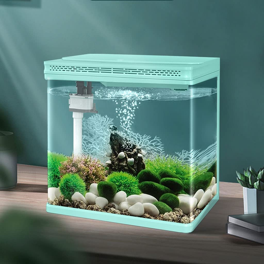 Aquarium Petit Aquarium en Verre, aménagement paysager, Petit Salon, Maison, Bureau, Poisson Rouge, décoration écologique, Changement d'eau Gratuit Bac à Poisson