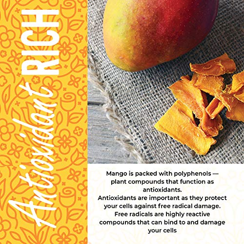 Dried Mango No Sugar Added, 16 oz. Dried Mangoes, Unsweetened Dried