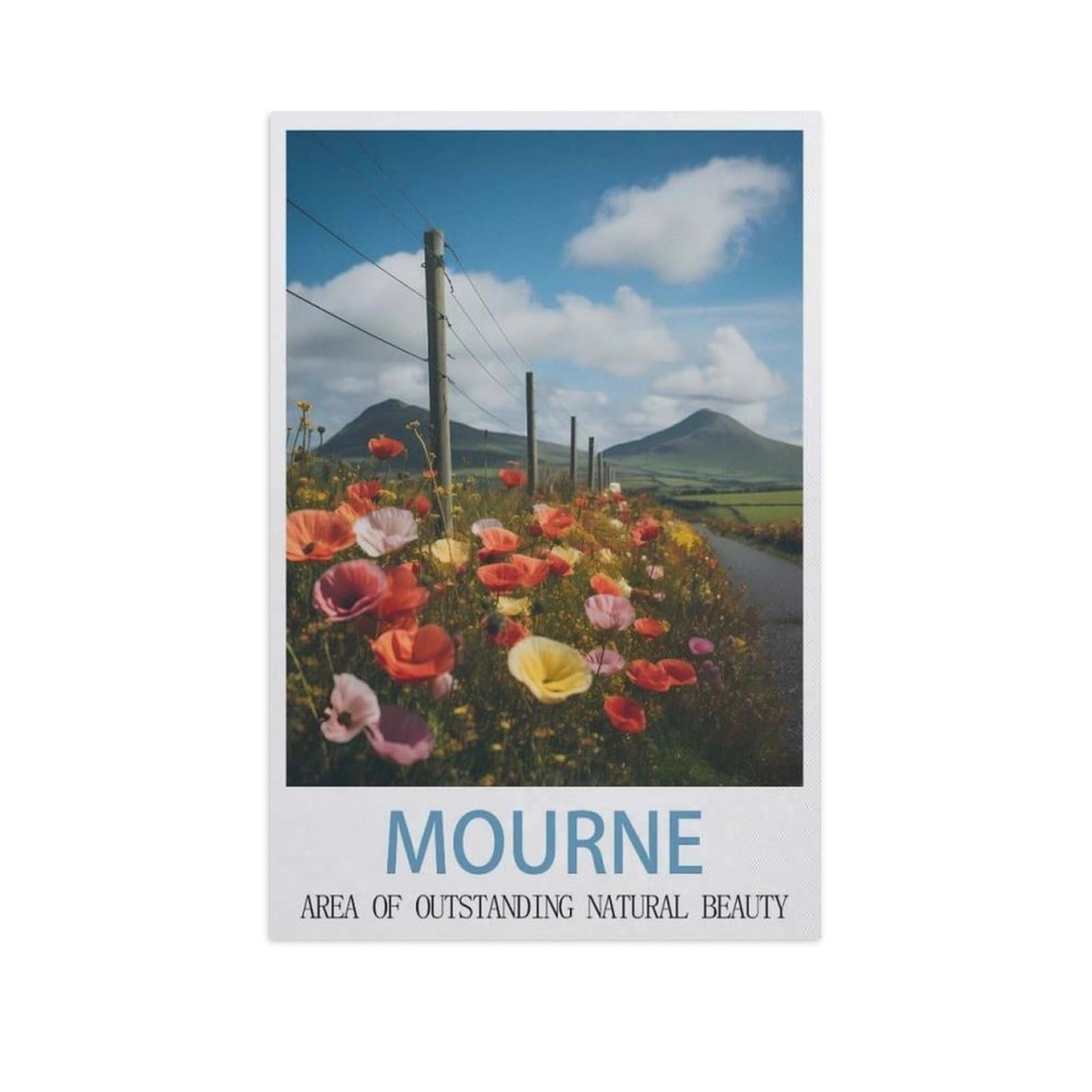 Jigsaw Puzzle 1000 Pieces for Adults，Mourne Mountains Area of Outstanding Natural Beauty，Unique Suitable for Teenagers and Adults, Home Decoration（75x50cm）-AI47
