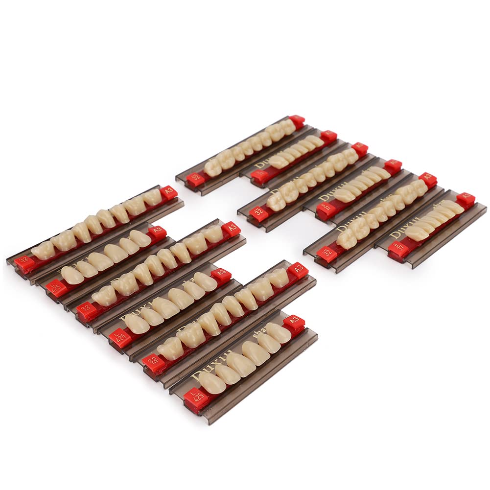 12 Uds. Dentadura postiza de resina, 84 Completos de Material Dental tonos A3, dentadura postiza de resina sintética para reemplazo DIY, Halloween Suministros para dentistas