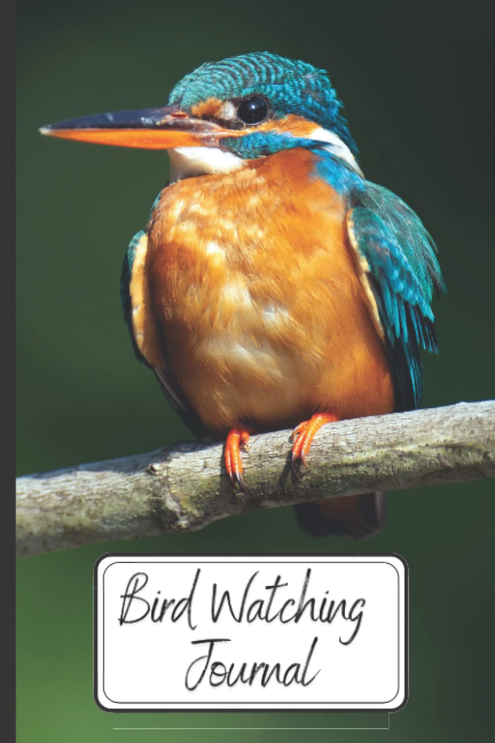 Bird Watching Journal: A Birdwatching Log Book for Birders & Bird Watchers
