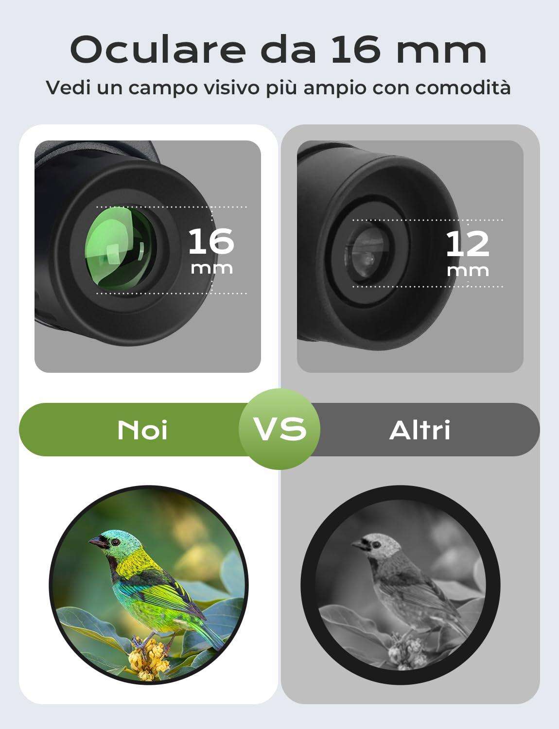 LIORQUE 10×25 Binocolo Professionale per Bambini e Adulti | Cannocchiale Portatile Pieghevole | Per Scarsa Illuminazione | Ideale per Birdwatching, Trekking, Viaggi e Caccia