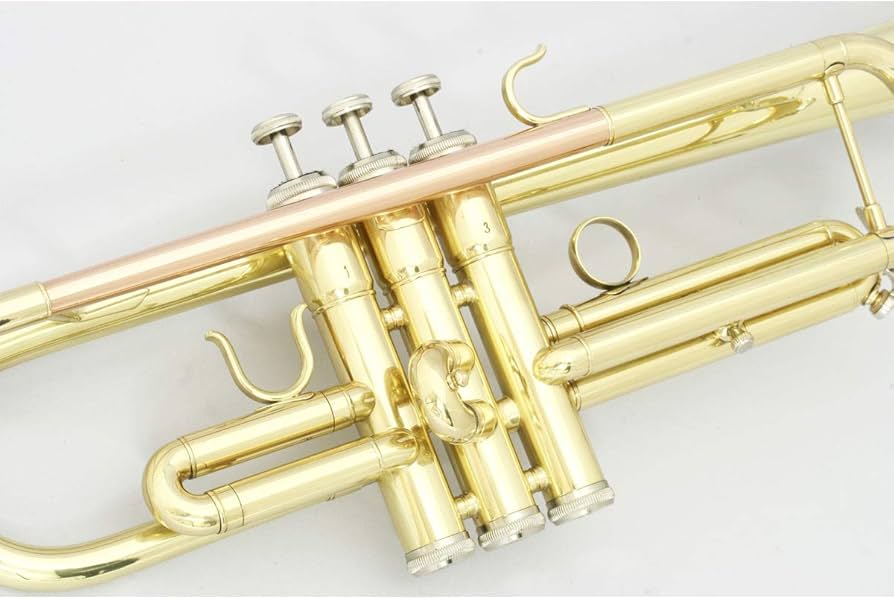 Amazon | SELVA 初心者向トランペット入門セット TRUMPET STR-100