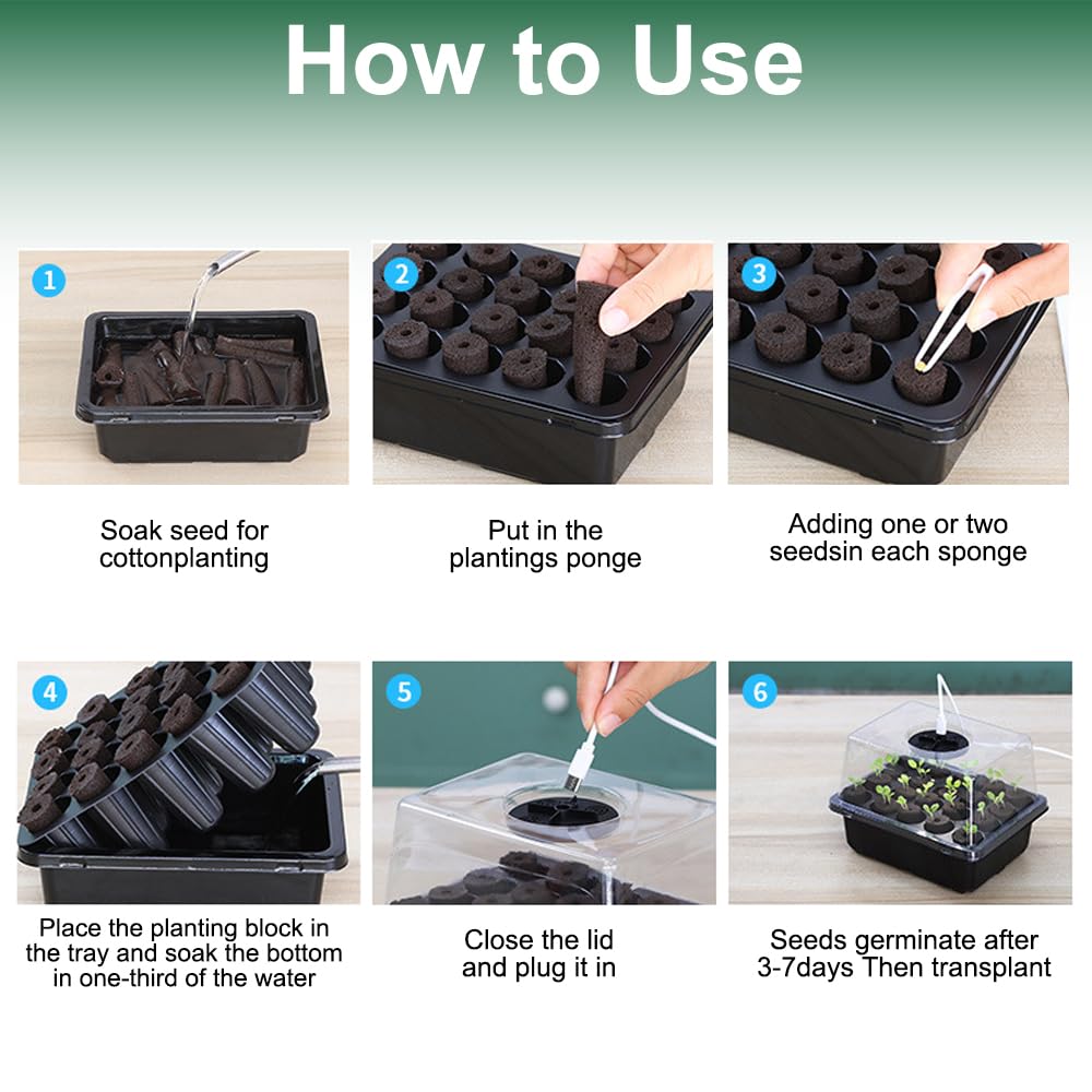Mini Serra Con Luce Per Germinazione - 5 Vassoi Semina Con Timer, Coperchio Trasparente - Foto 12