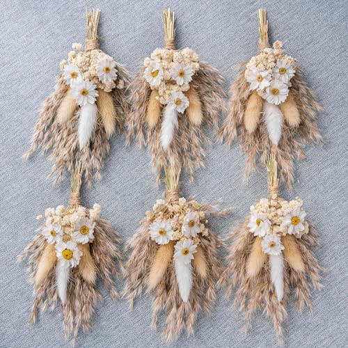 Mini Dried Flower Bouquet Set of 6, Small Pampas Grass
