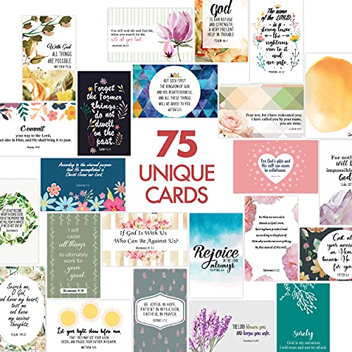 Mr. Pen- Prayer Cards, 75 Mini Scripture Cards, Bible Verse Cards, Christian Cards, Scripture Cards with Bible Verses, Inspirational Cards, Scripture Cards, Christian Greeting Cards Assortment.