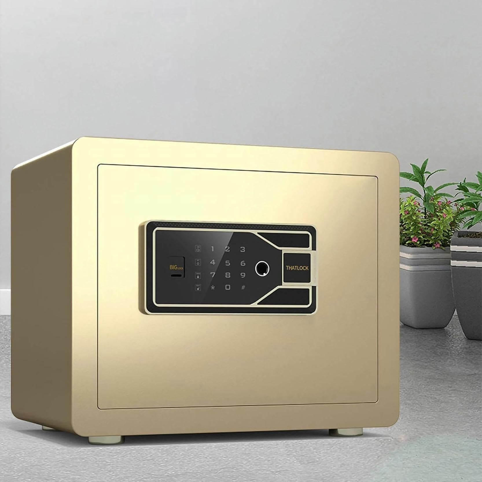 NZPOST Caja Fuerte Digital para el hogar, Caja Fuerte de Pared con Cerradura, Caja Fuerte para Efectivo, Estilo empotrable con Llaves numéricas EME