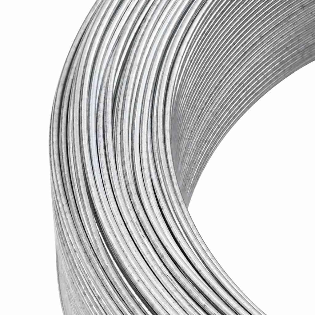 Fil de Tension, Fil de Acier Plastifié pour Clôture Jardin 250 m 2 mm Acier