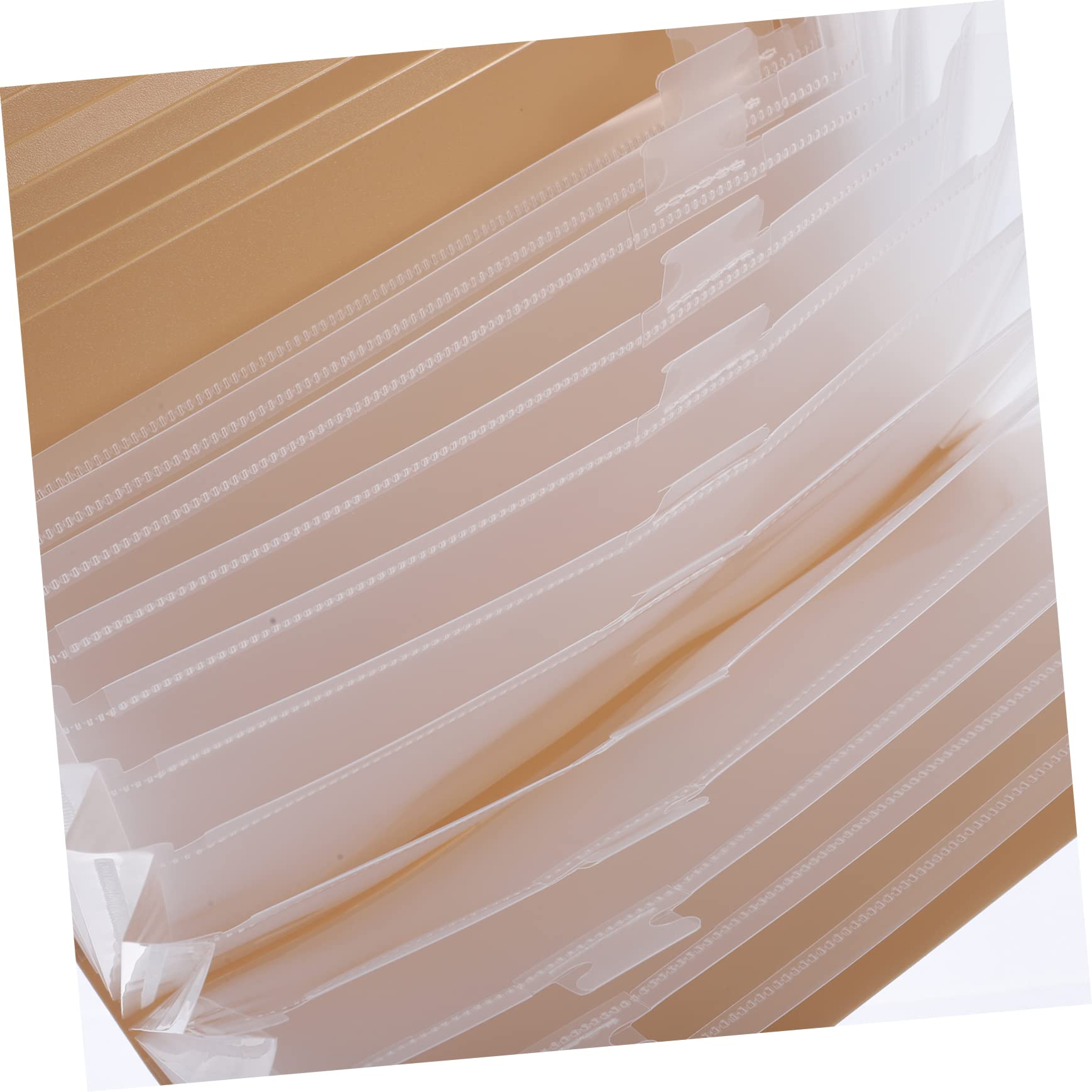 Ciieeo Cartella Portadocumenti Espandibile in Plastica Pp e Etichette Colorate Per Organizzare File e Resistente