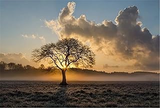 Yingxin34 1500 Piece Puzzles for Adults Jigsaw Puzzles 1500 Pieces Sunrise on The Grassland Educational Games Home Decoration Puzzle Gifts-87x57cm(34.25x22.44inch)