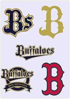 61fEryIYA4L._AC_UF350,