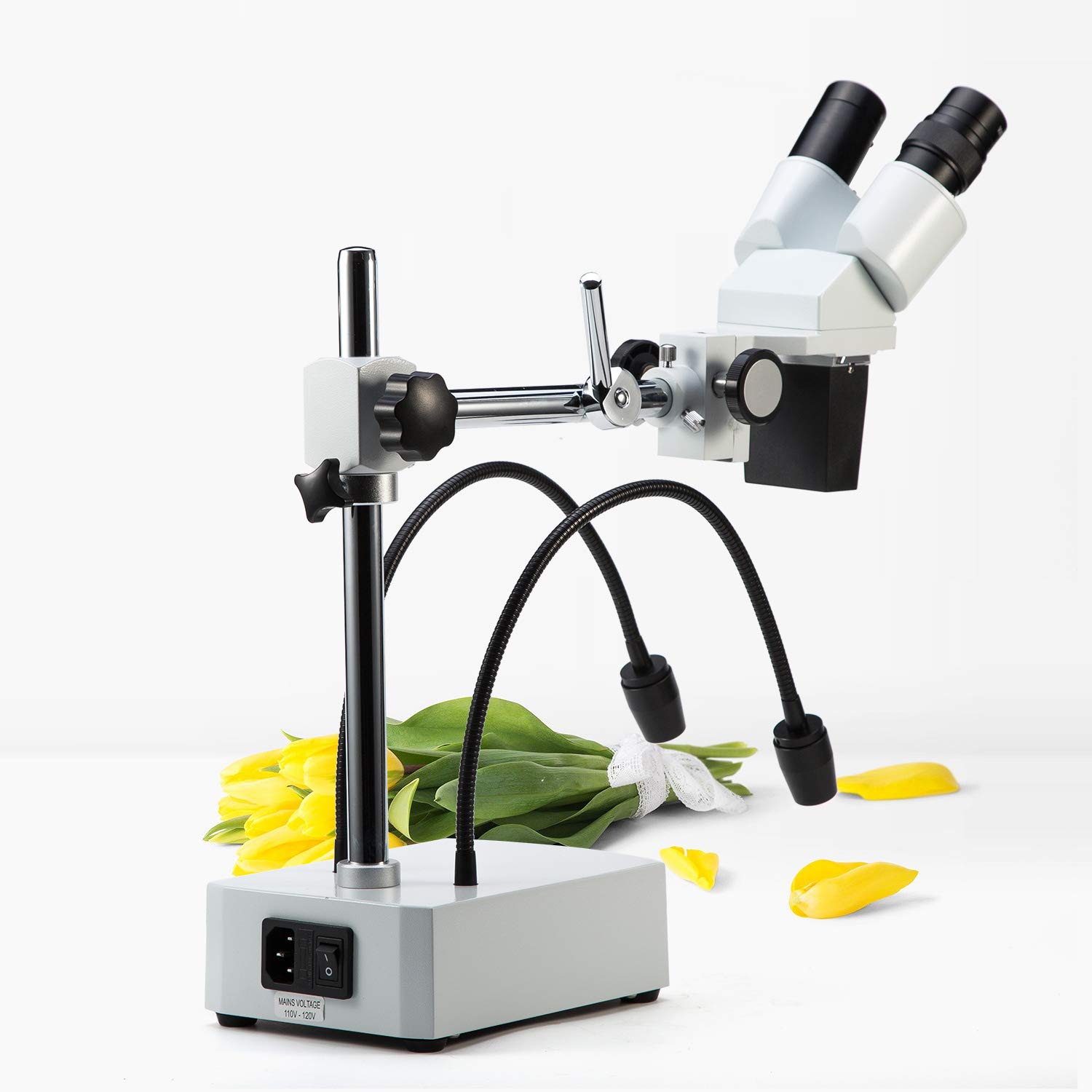 SWIFT Microscopio stereo binoculare 10X/20X ingrandimento grandangolo oculari 2 luci LED flessibili braccio orientabile compatibile con fotocamera S41-20