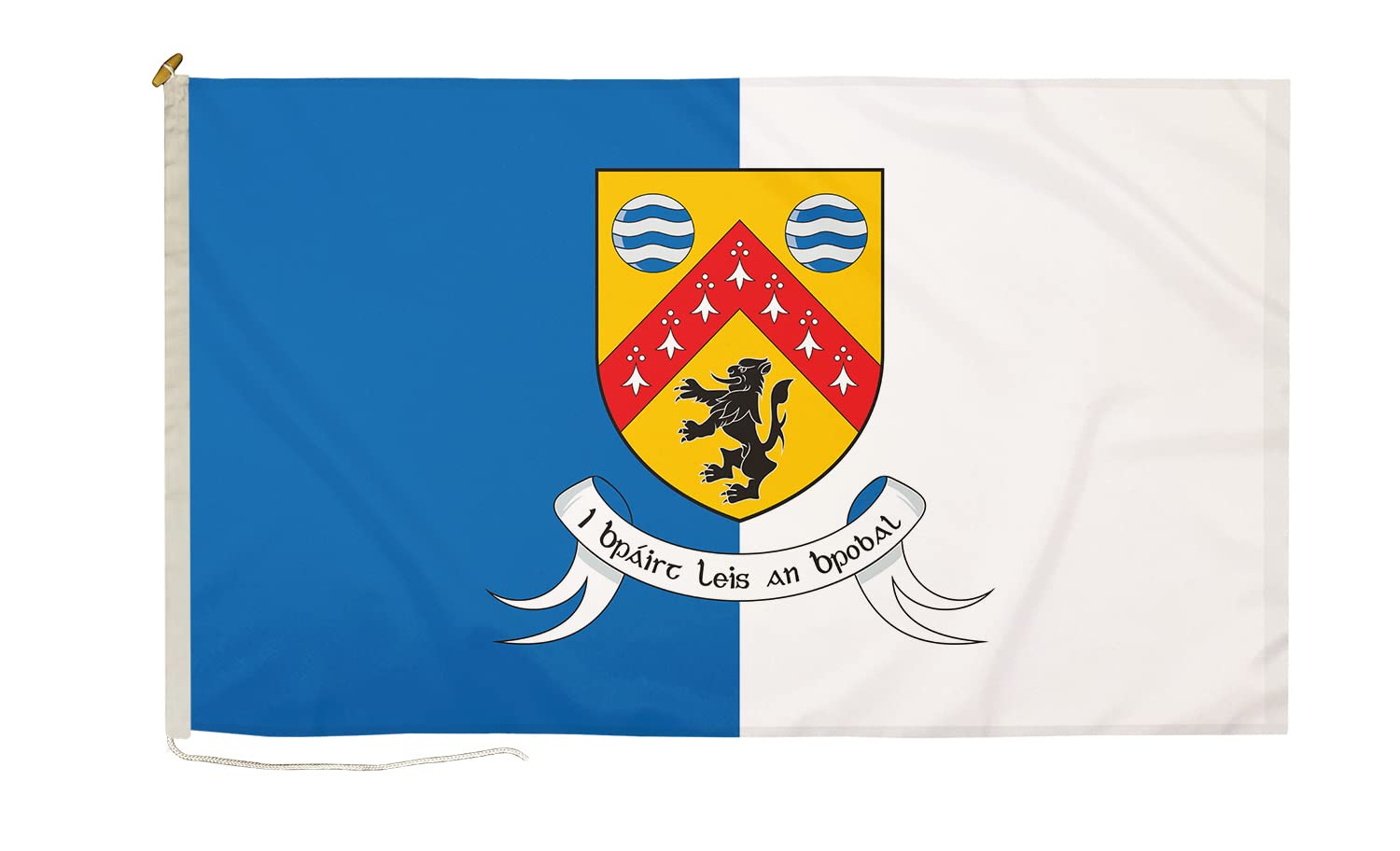 DuraFlag Laois Small Courtesy 20x12" Rope and Toggled Premium Quality 50x30cm Flag — image 1