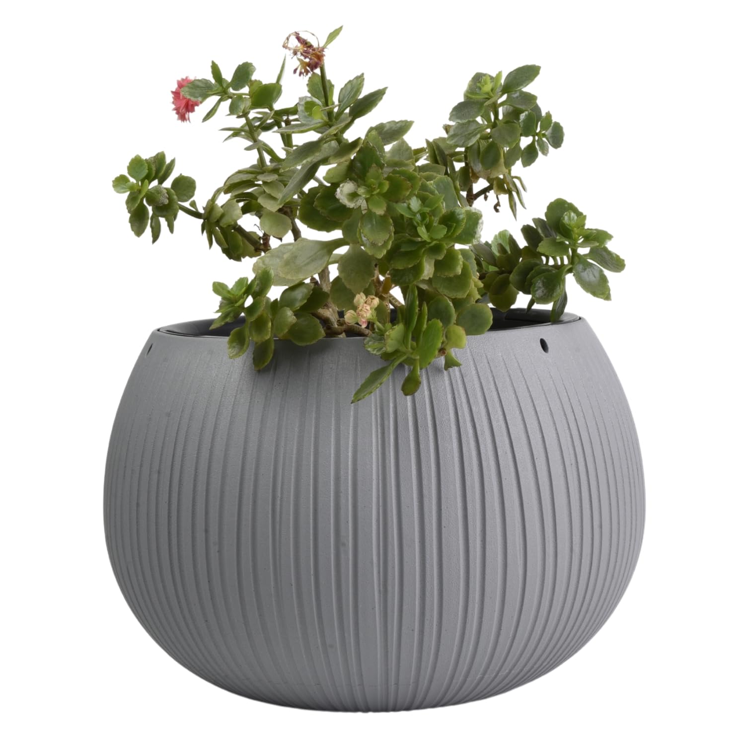 B2C Structural Decorative Planter Pots, 6 Pieces, 2 Colours, 6 Sizes from 110mm, Ceramic, Weather-Resistant, Indoor/Outdoor (Concrete effect, L - H195mm x W290mm)
