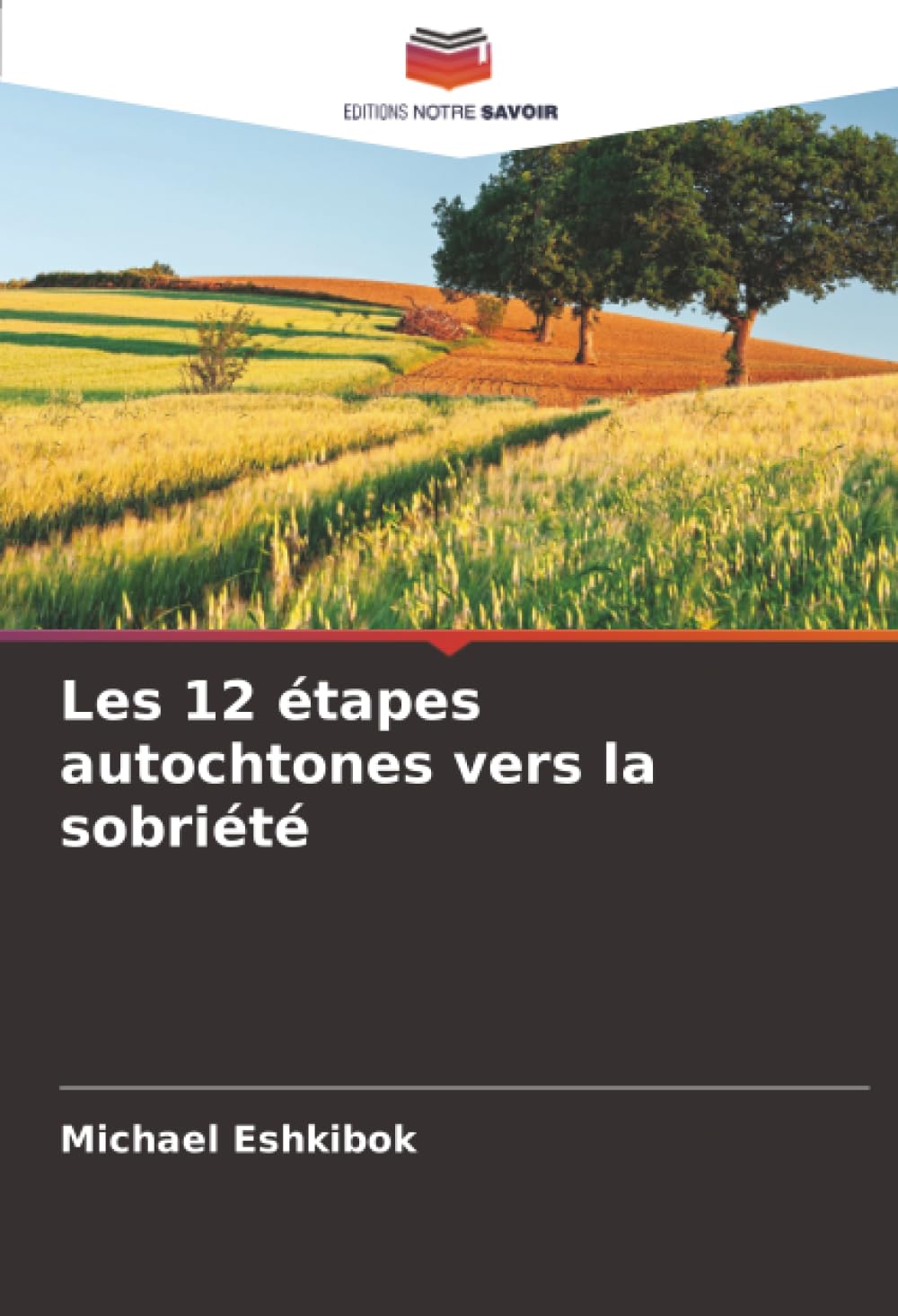 Les 12 étapes autochtones vers la sobriété