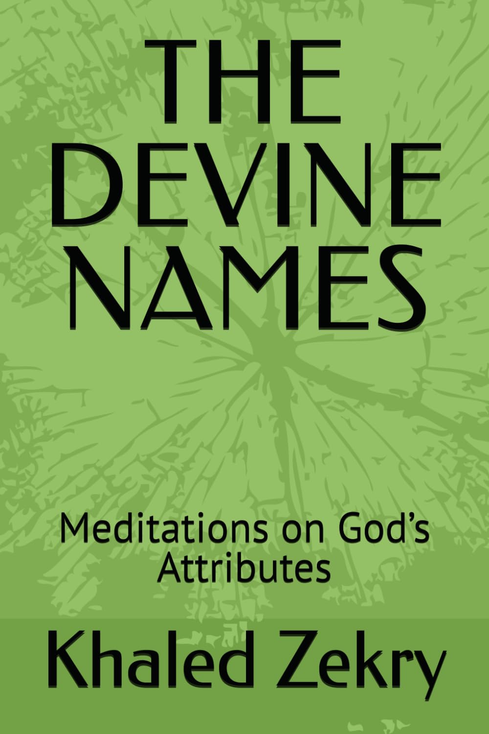 THE DEVINE NAMES: Meditations on God’s Attributes