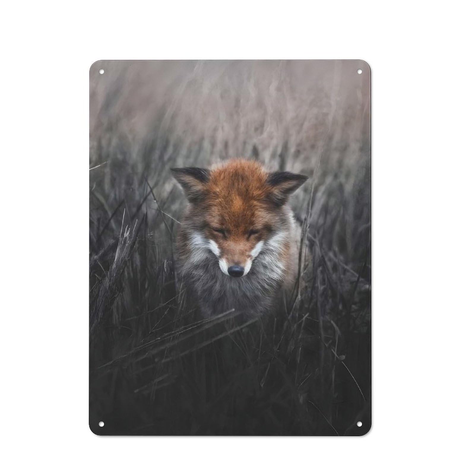 Metal Plaque 40x30cm with Fox in A Field for Pub Or Café, Vintage Decor, for Pub Decor Enthusiasts