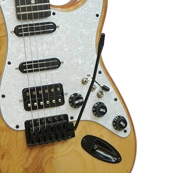 Amazon | Vertice エレキギター ストラトタイプ ステンレス