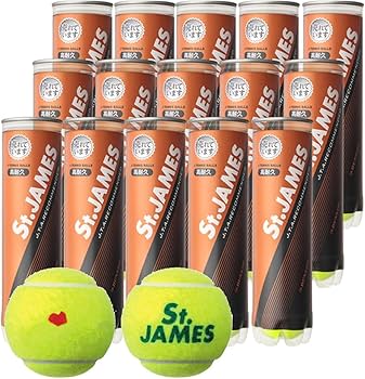 Amazon | 【SDGsプロジェクト】「KPIオリジナルモデル」DUNLOP「St