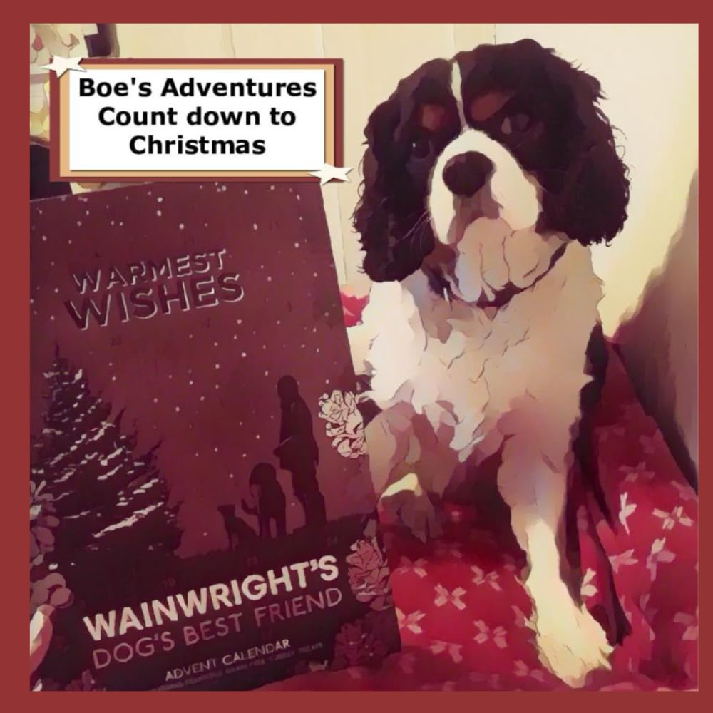 Boe's Adventures: Count Down to Christmas