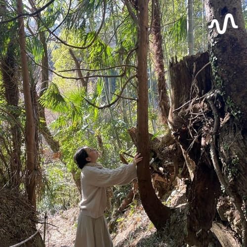 自然療法wonder ch copertina