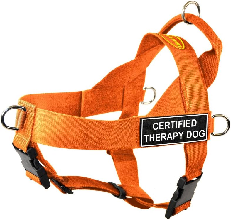 Dean & Tyler DT Universal No Pull Dog Harness with Certified Therapy Dog Patches, X-Large, Orange
