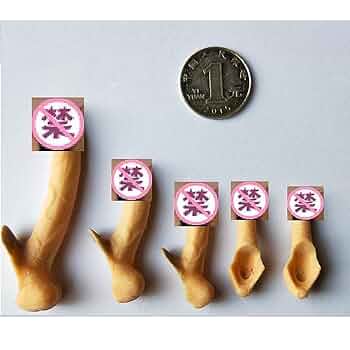 動物の人形（硬質プラスチック素材）まとめ売り 61fFRIPbCnL._UF350,350_QL50_.jpg