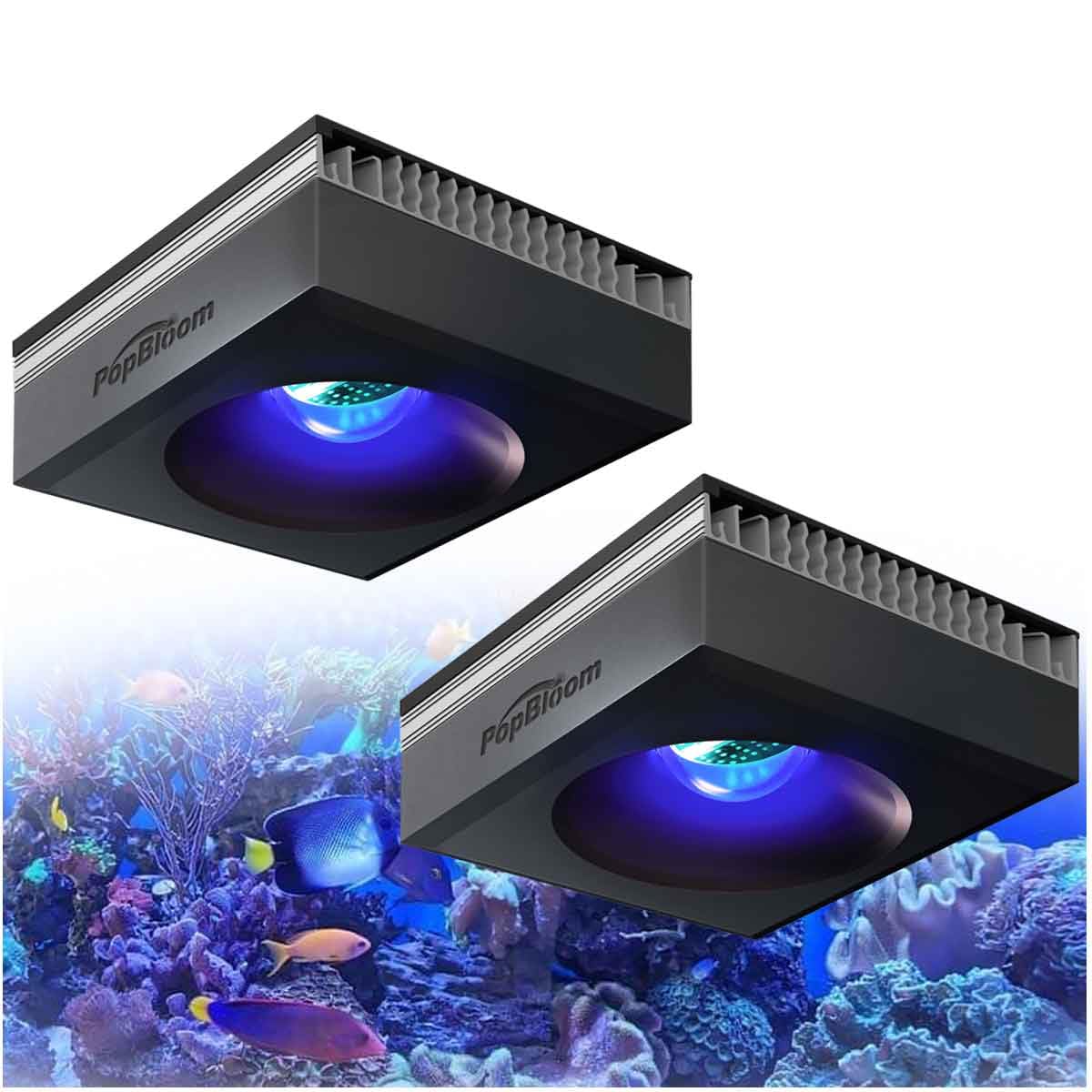 PopBloom RL90 WiFi LED Aquarium Beleuchtung 100W, Meerwasser LED Beleuchtung Vollspektrum für Reef Coral SPS/LPS Salzwasser Fish Aquarium (2 Lampe mit Aufhängung)