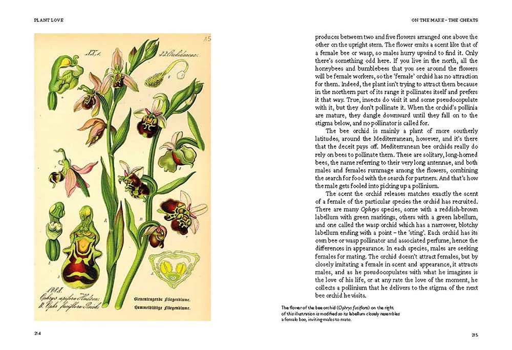 How to make a wildflower meadow: Tried-And-Tested Techniques for New Garden Landscapes
