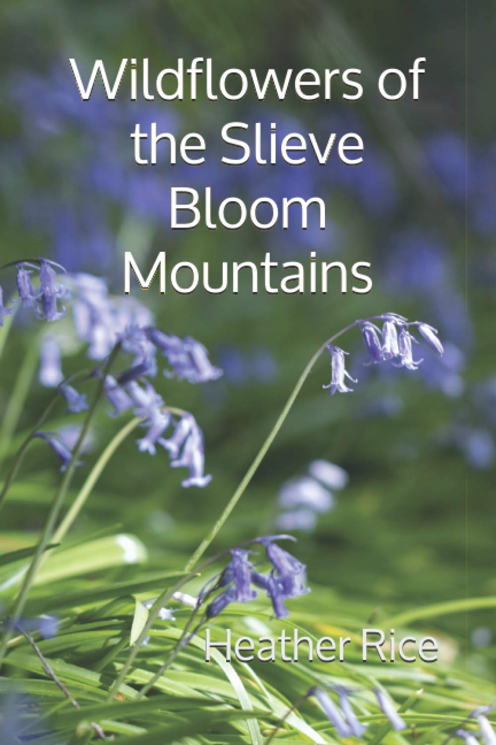 Wildflowers of the Slieve Bloom Mountains