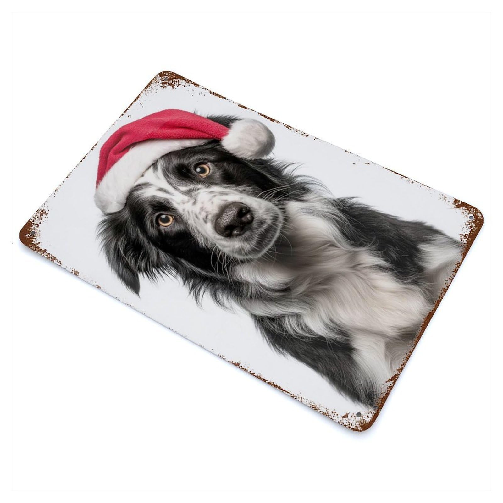 Border Collie Dog with Santa Hat Rust Effect Tin Sign 11.8"x7.9", Ideal for Farmhouse, Kitchen And Entryway Decor