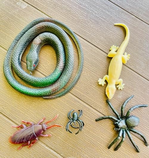 VEDY Insect Toy Rubber Snake Lizard Gang Toy (B0D9FJB5H8) Amazon Price History, Amazon Price Tracker