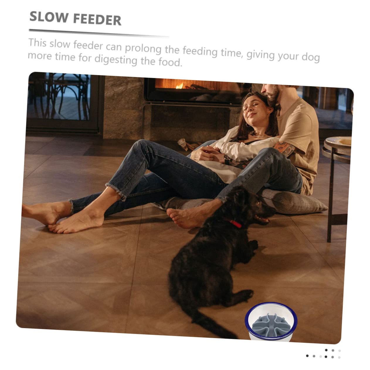 INOOMP 4stücke Langsame Fütterungsschale Einsatz Aus Silikon Rutschfester Futternapf Für Hunde Und Katzen Mittelgroß Einfach Zu Reinigen Für Langsames Fressen Verhindert Erbrechen
