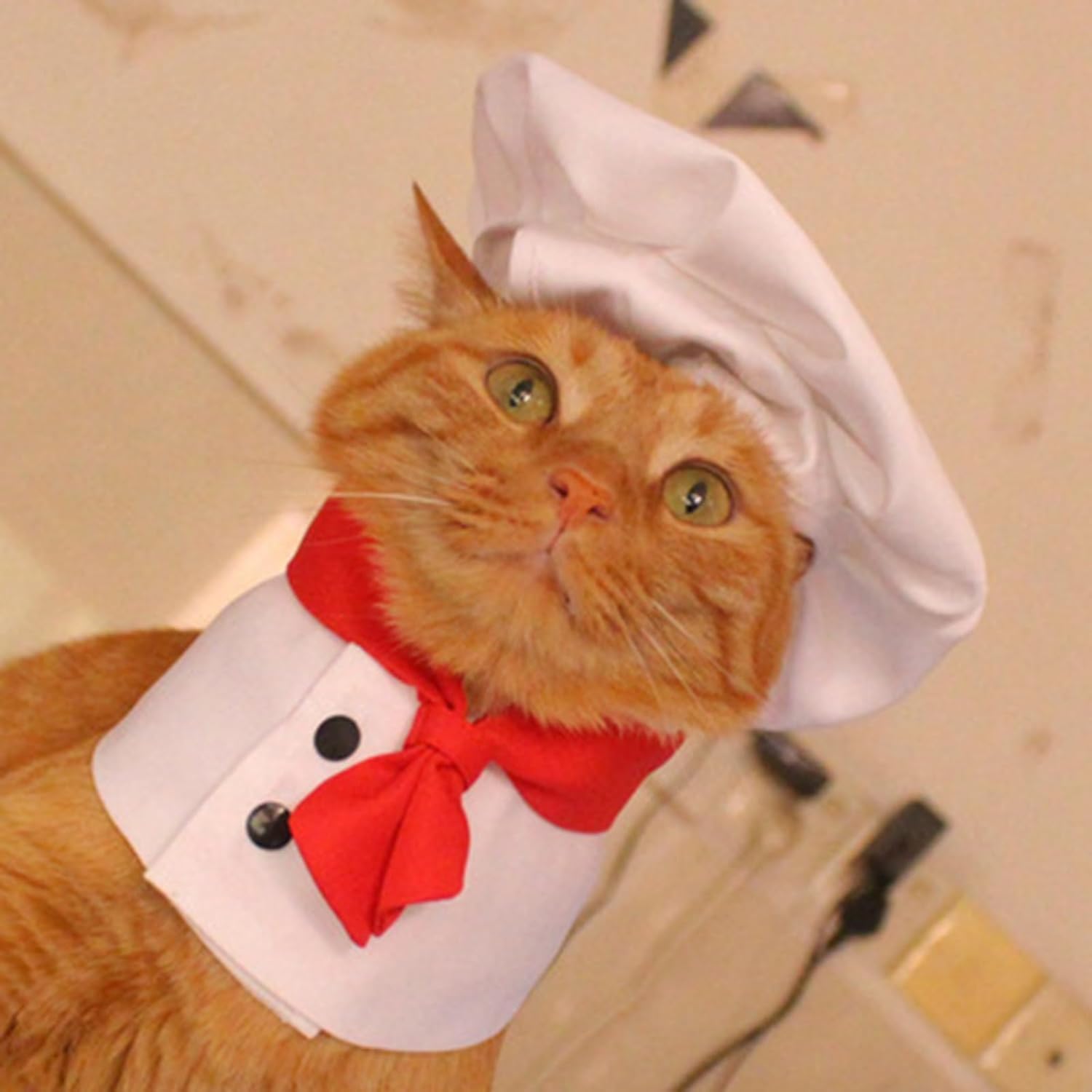 1Set White Pet Hat Chef Appearance Pet Clothing Soft Dog Costumes Pet Supplies Apparel and Accessories, Beige - Image 3