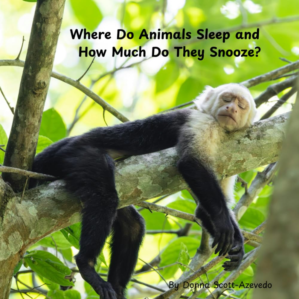 Where Do Animals Sleep and How Much Do They Snooze?