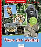 Thienemann-Esslinger Verlag GmbH