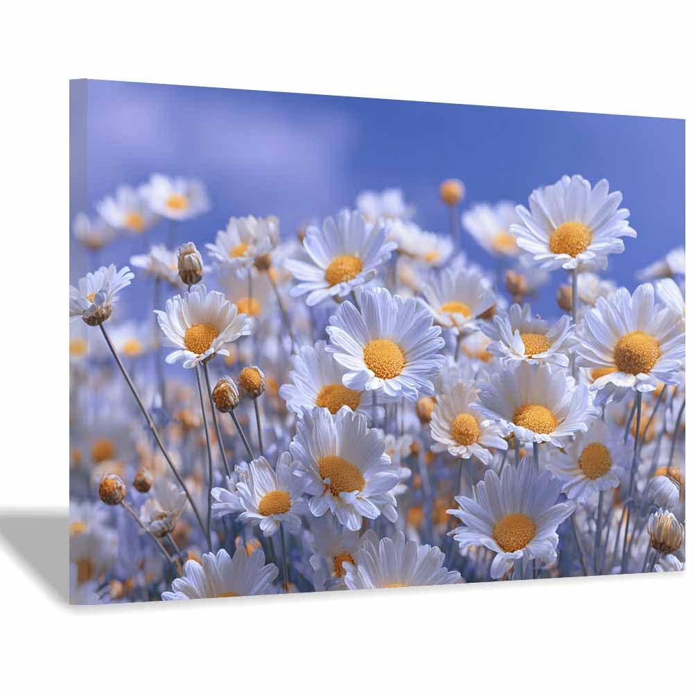 ZAMAEIU Landscape Wall Art Dense petals clusters Modern Canvas Print On Artwork, Suitable for living room, bedroom, for Kids Room Decoretc.(white)-60x90cm Framed